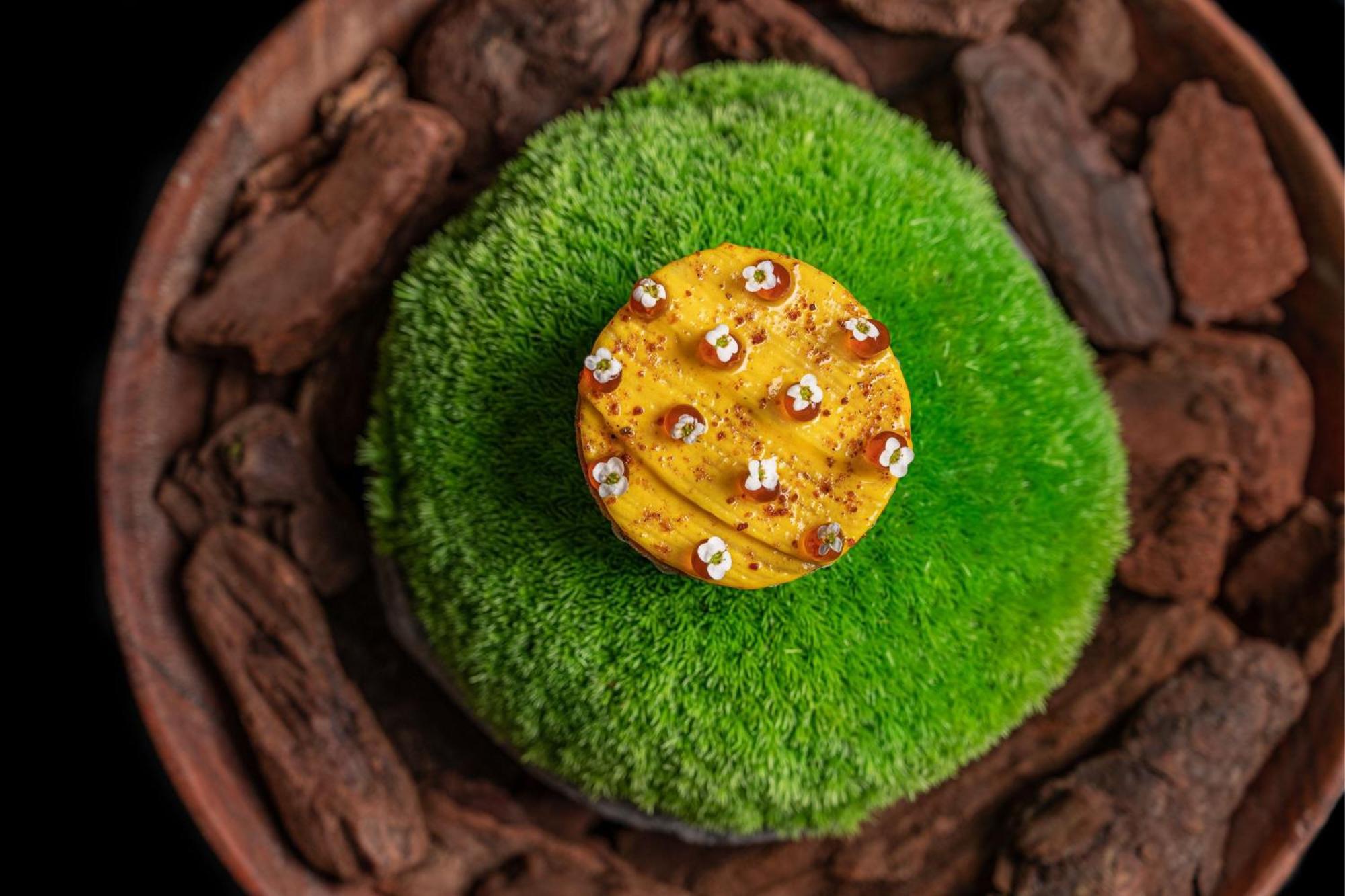 Hotel The St. Regis Dubai, The Palm Esterno foto A green velvet ant